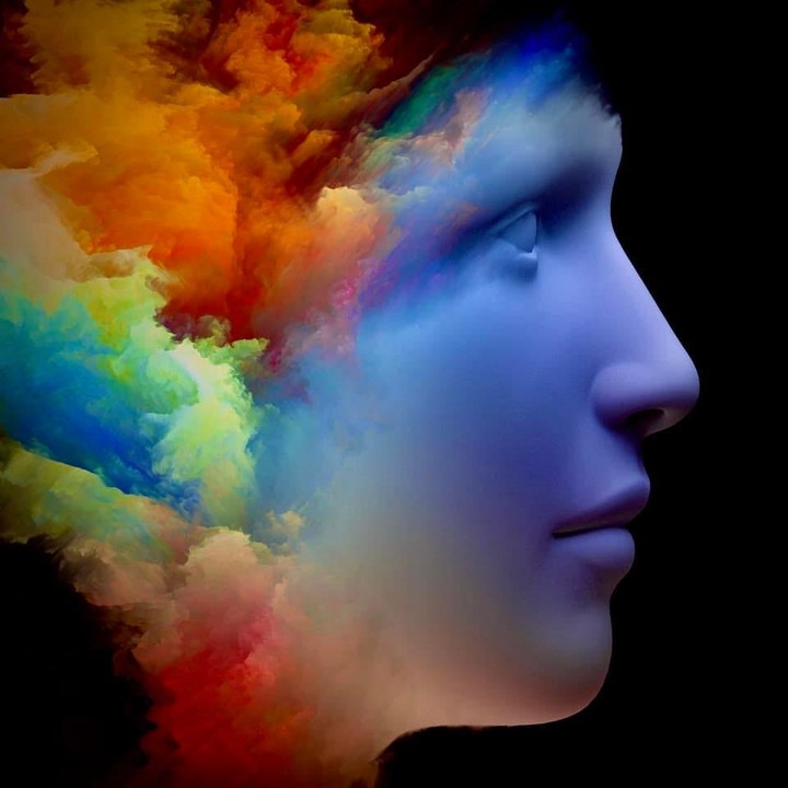 Blumuse Media